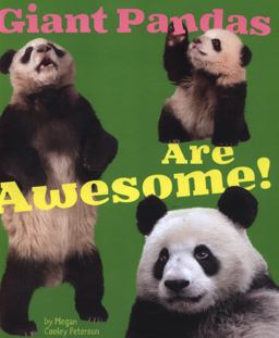 Giant Pandas Are Awesome!