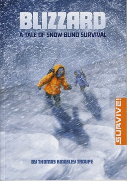 Blizzard: a Tale of Snow-Blind Survival