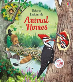 Look Inside Animal Homes  9781474942928 Front Cover