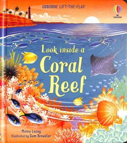 Look Inside a Coral Reef