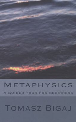 Metaphysics A Guided Tour for Beginners  9781475055405 Front Cover