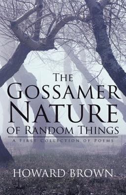 The Gossamer Nature of Random Things The Gossamer Nature of Random Things