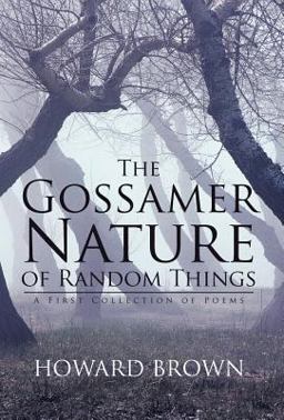 The Gossamer Nature of Random Things The Gossamer Nature of Random Things