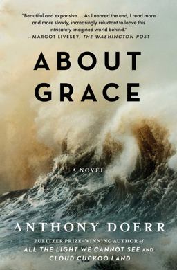 About Grace A Novel  9781476789019 Front Cover