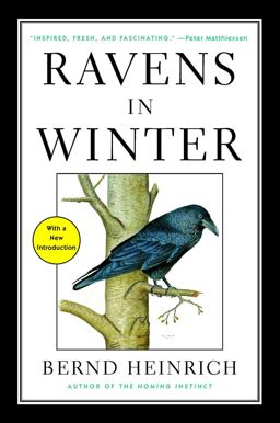 Ravens in Winter  9781476794563 Front Cover