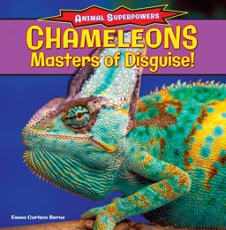 Chameleons: Masters of Disguise!