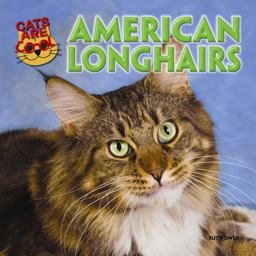 American Longhairs American Longhairs