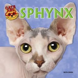 Sphynx Sphynx