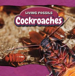 Cockroaches Cockroaches