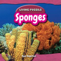Sponges