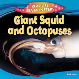 Giant Squid and Octopuses Giant Squid and Octopuses
