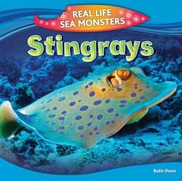 Stingrays Stingrays