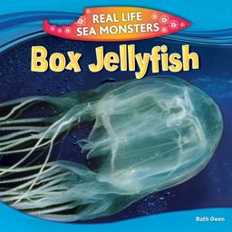 Box Jellyfish Box Jellyfish