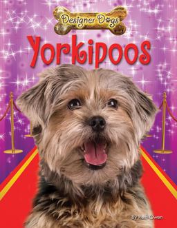 Yorkipoos Yorkipoos