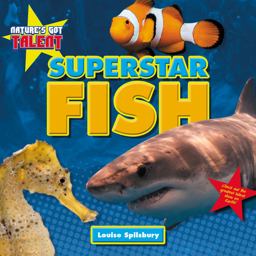 Superstar Fish