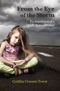 From the Eye of the Storm The Experiences of a Child Welfare Worker  9781478629399 Front Cover