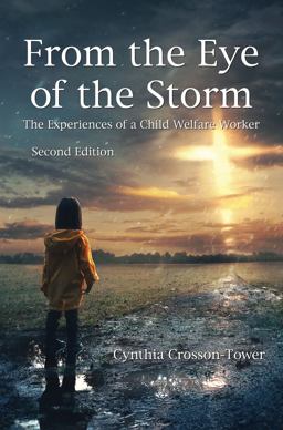 From the Eye of the Storm: The Experiences of a Child Welfare Worker  9781478647881 Front Cover