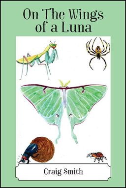 On the Wings of a Luna On the Wings of a Luna