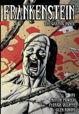 Frankenstein: the Graphic Novel