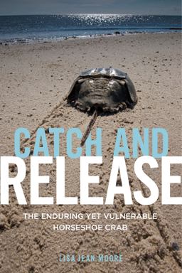 Catch and Release The Enduring yet Vulnerable Horseshoe Crab  9781479848478 Front Cover