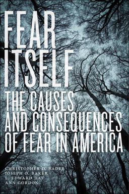 Fear Itself: The Causes and Consequences of Fear in America  9781479869817 Front Cover