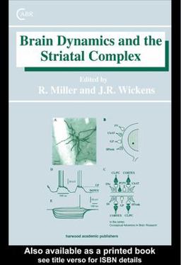 Brain Dynamics and the Striatal Complex