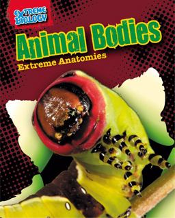 Animal Bodies