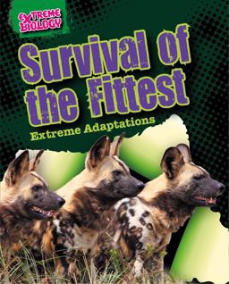 Survival of the Fittest