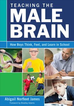 Teaching the Male Brain How Boys Think, Feel, and Learn in School 2nd 9781483371405 Front Cover