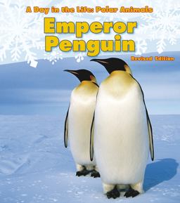Emperor Penguin