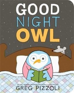 Good Night Owl  9781484787946 Front Cover