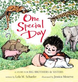 One Special Day A Story for Big Brothers and Sisters  9781484788424 Front Cover