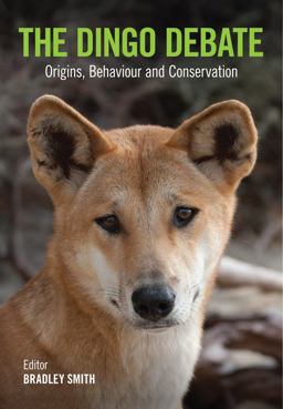 Dingo Debate Origins, Behaviour and Conservation 2015 9781486300297 Front Cover
