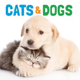 Cats and Dogs