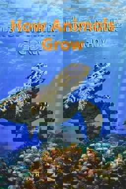 Myview Literacy 2020 Leveled Reader Grade 1: How Animals Grow