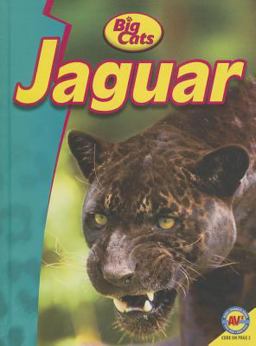 Jaguars