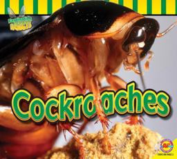 Cockroaches