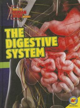 Digestive System