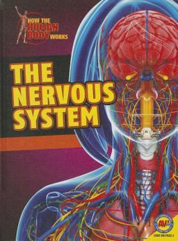 Nervous System