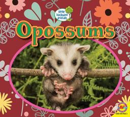 Opossums