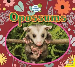 Opossums
