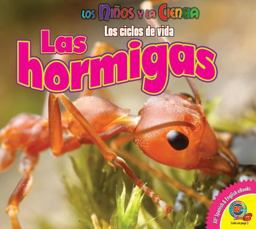 Las Hormigas (Ants)