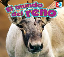El Mundo Del Reno