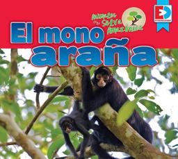 Animales de la Selva Amazónica -- el Mono Araña