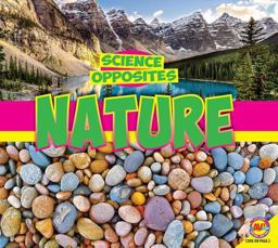 What Is the Difference Between Summer and Winter?