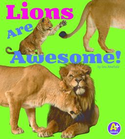 Lions Are Awesome!