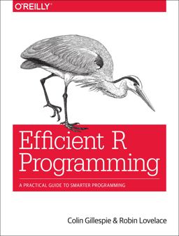 Efficient R Programming A Practical Guide to Smarter Programming  9781491950784 Front Cover