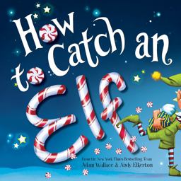 How to Catch an Elf  9781492646310 Front Cover