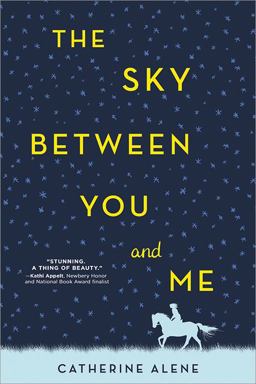 Sky Between You and Me  9781492652762 Front Cover