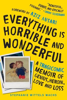 Everything Is Horrible and Wonderful A Tragicomic Memoir of Genius, Heroin, Love, and Loss  9781492664109 Front Cover
